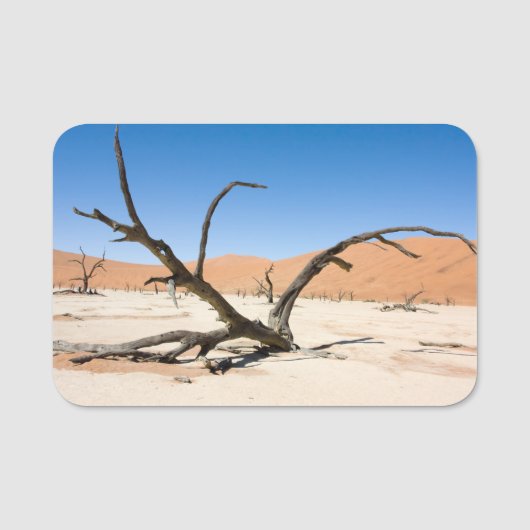 Porte-nom Dead Vlei, Namibie (Devant)