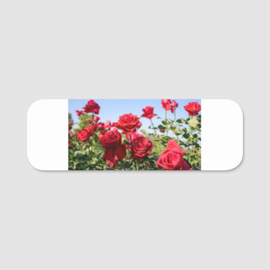 Porte-nom FLEURS roses (Devant)