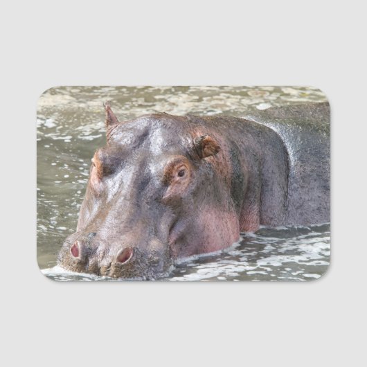 Porte-nom Joyeux Hippo (Devant)