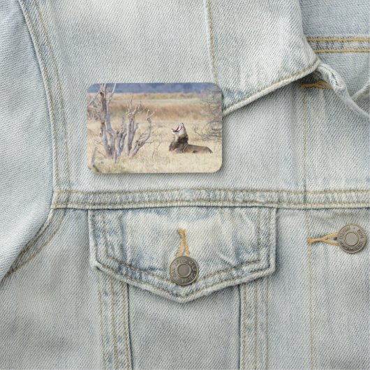 Porte-nom Lion de Yawning (En situation)