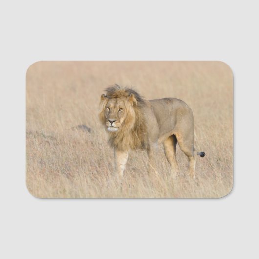 Porte-nom Lion marche (Devant)