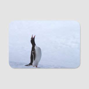 Porte-nom Pingouin Gentoo
