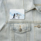 Porte-nom Pingouins d'Adelie (En situation)