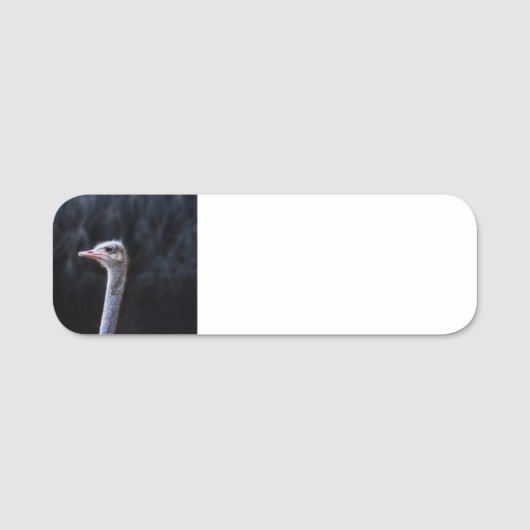 Porte-nom portrait d'autruche (Devant)