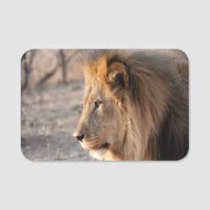 Porte-nom Portrait de Lion