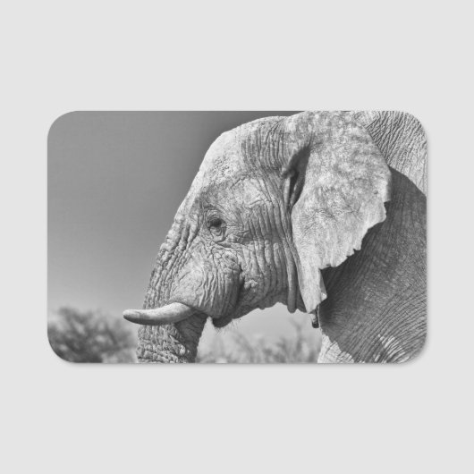 Porte-nom Portrait d'éléphant (Devant)