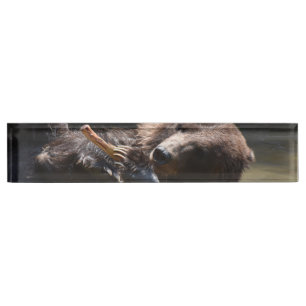 Porte-nom Pour Bureau Beau Ours Brown jouant