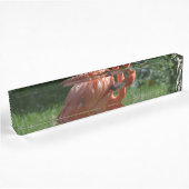 Porte-nom Pour Bureau Flamant rose rose parfait
