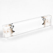 Porte-nom Pour Bureau Grondement d'ours blanc