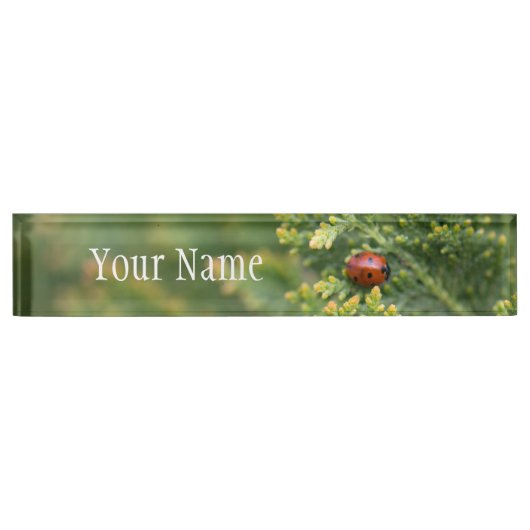 Porte-nom Pour Bureau Ladybug (Devant)