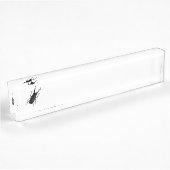 Porte-nom Pour Bureau Lucane cerf-volant