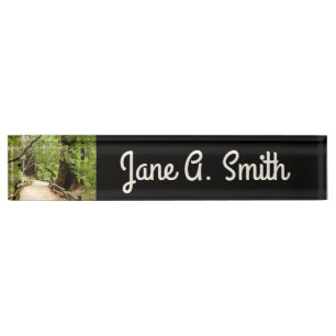 Porte-nom Pour Bureau Muir Woods Path II Nature Photography