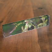 Porte-nom Pour Bureau Orchidée unique (Taille)