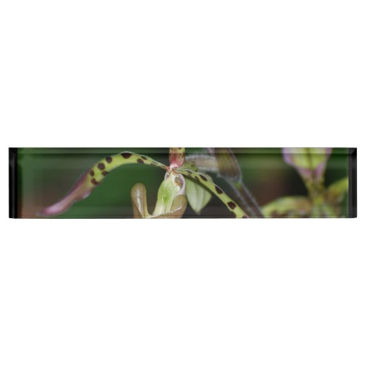 Porte-nom Pour Bureau Orchidée unique (Devant)