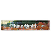 Photographie de récolte d'automne des citrouilles