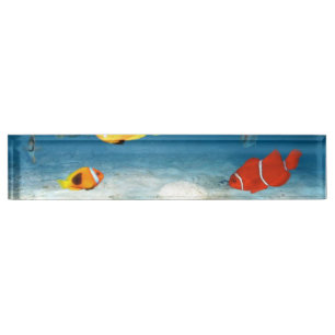 Porte-nom Pour Bureau Poissons dans l'océan