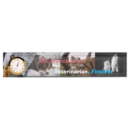 Porte-nom Pour Bureau Premier et meilleur soins vétérinaires acrylique (Devant)
