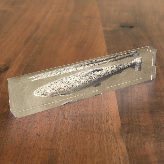 Porte-nom Pour Bureau Speckles (Taille)