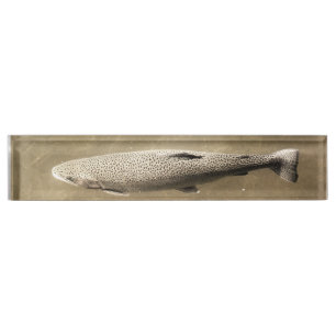 Porte-nom Pour Bureau Speckles