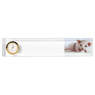Porte-nom Pour Bureau Sphynx kitten.png