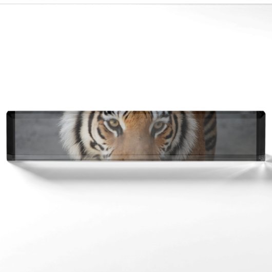 Porte-nom Pour Bureau tiger-54 (Devant)