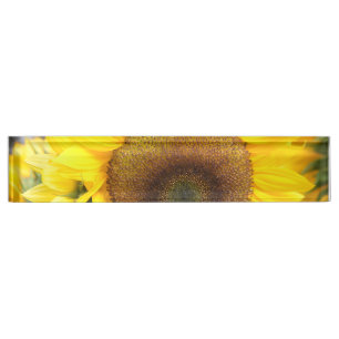 Porte-nom Pour Bureau Tournesol magnifique