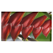 Porte-cartes de Tableau - griffe de homard