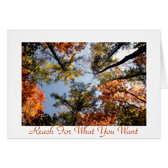 Portée (Devant horizontal)