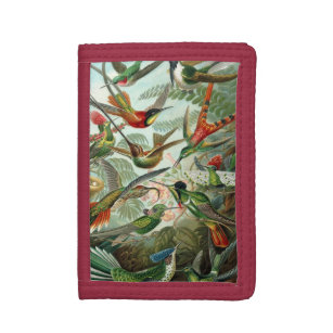 Portefeuille À 3 Volets Colibris par Ernst Haeckel, Oiseaux Vintages