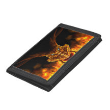Dragon flamboyant