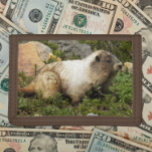 Portefeuille À 3 Volets Photo de la faune de la marmotte de Hoary<br><div class="desc">Pour les amateurs de nature ! Sécurisez l'argent et les cartes de crédit avec ce porte-monnaie qui présente l'image d'une Marmotte de Hoary. Sélectionnez la couleur de votre portefeuille.</div>