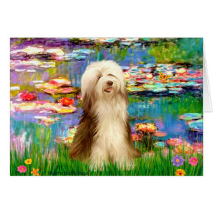 Porteur 16 - Lys 2