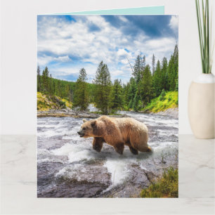 PORTEZ GRIZZLY ALASKA ANNIVERSAIRE GRANDES CARTES 