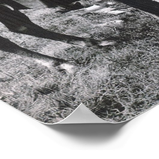 PORTFOLIO PRINT 11 X 13.31 (Hoek)