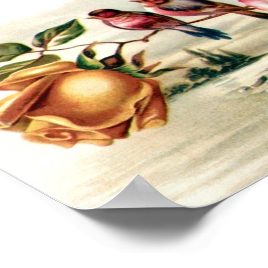 Portfolio Rozen van vogels Poster (Hoek)