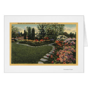 Portland, Oregon - Azaleas & Rhododendrons