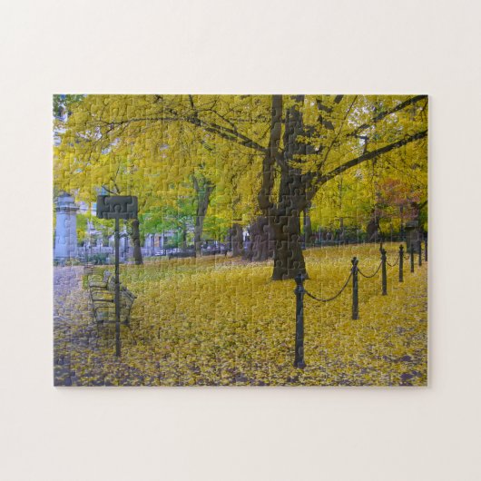 Portland Oregon. Legpuzzel (Horizontaal)