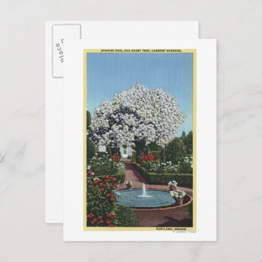 Portland, Oregon - Spaanse pool- en ghost-boom Briefkaart (Voorkant / Achterkant)