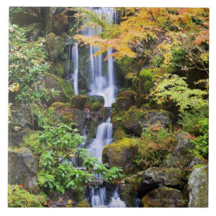 Portland, Oregon Tegeltje