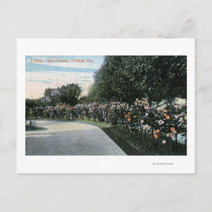 Portland, OregonView of a Roos Garden Briefkaart