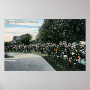Portland, OregonView of a Roos Garden Poster