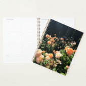 Portland Rose Garden (Devant avec enveloppe)