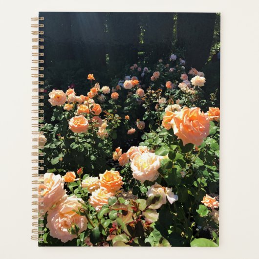Portland Rose Garden (Devant)