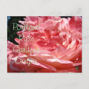 Portland Rose Gardens ansichtkaarten Roze Rozen Tu Briefkaart