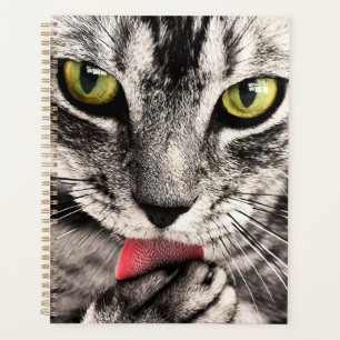 Portrait animal animal animal animal de compagnie