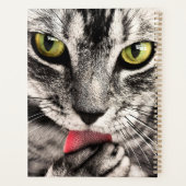 Portrait animal animal animal animal de compagnie  (Dos)