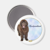 Portrait Brown de Terre-Neuve - Magnet (Recto/Verso)