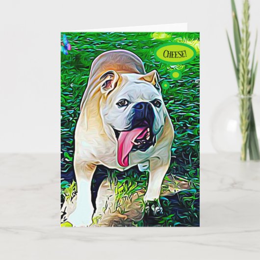 Portrait d'animal de compagnie Cheese happy bulldo (Devant)