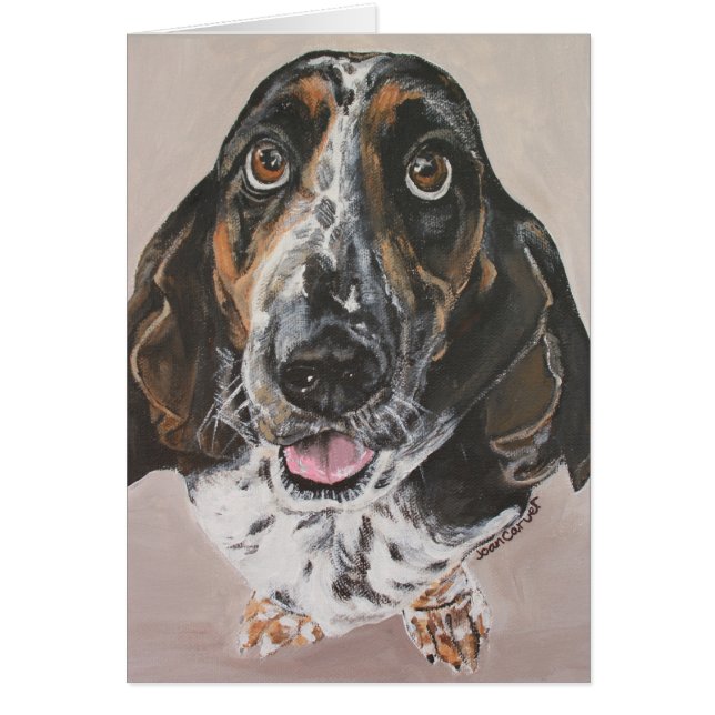 Portrait d'animal familier - Basset Hound (Devant)