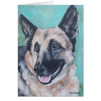 Portrait d'animal familier - berger allemand